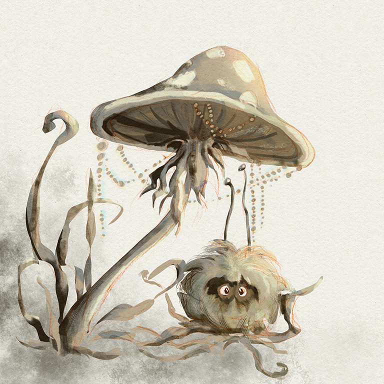 Mooskobold Mushroom