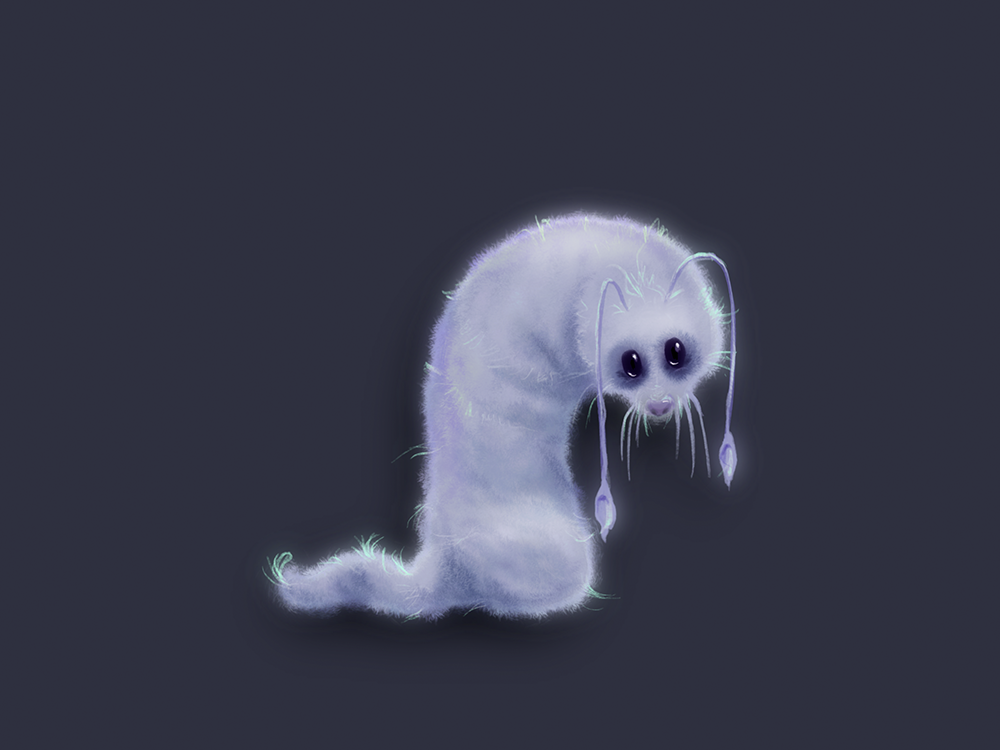 Fluffy Creature